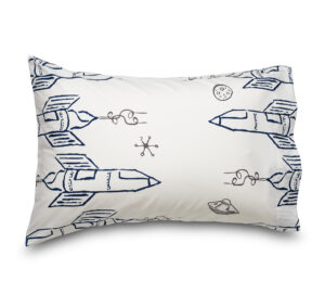 Rocketship to the Stars